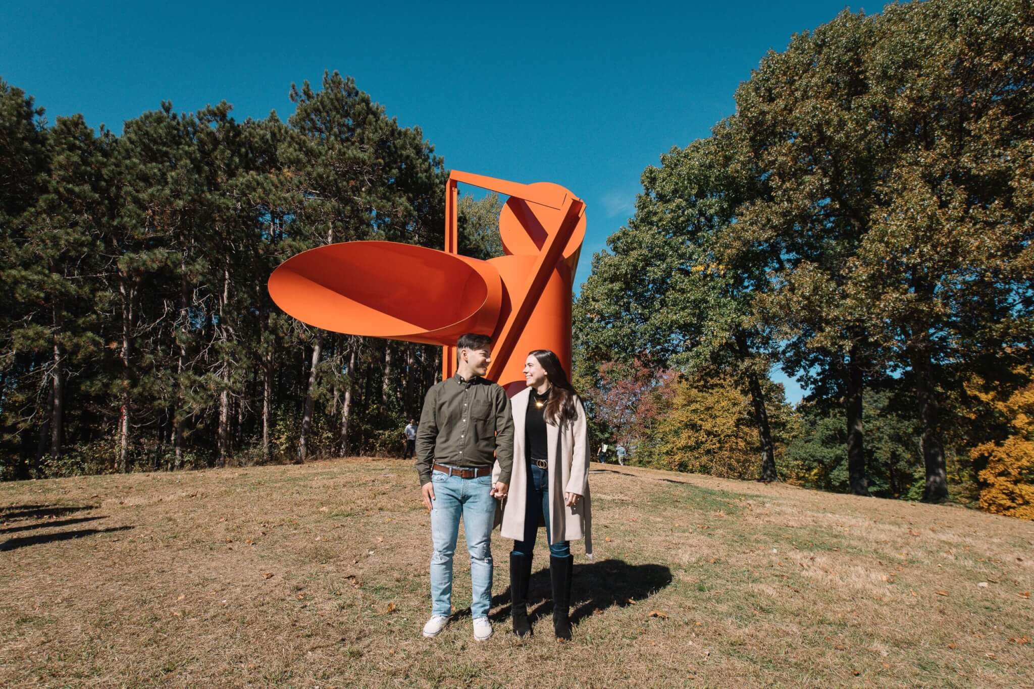 On One Knee: Asking His Queen at Storm King