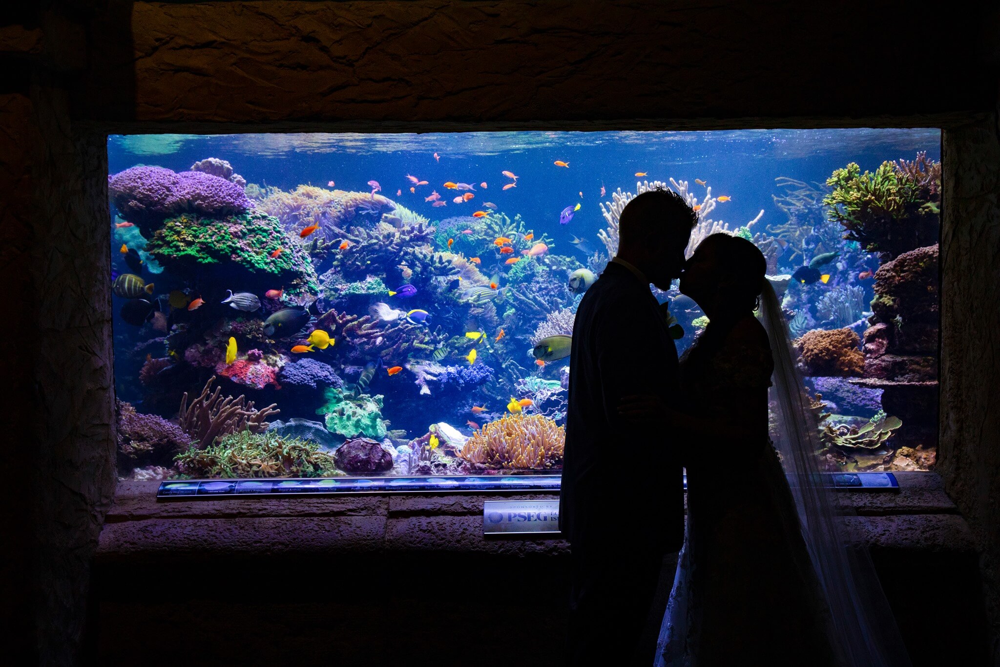 “A Resort Destination on Long Island.” Atlantis Banquets & Events Has Everything You Need For the Perfect Long Island Wedding…Including Penguins