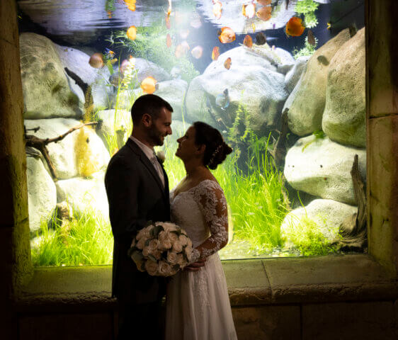 Bride and groom near one of the habitats at Atlantis Banquets & Events.