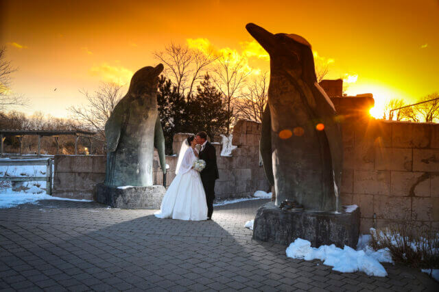 Bride and groom outside the penguin habitat near sunset at Atlantis Banquets & Events.