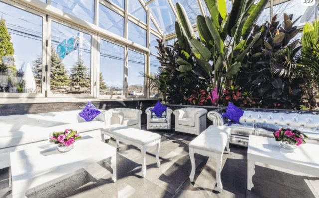 a room with white furniture and plants