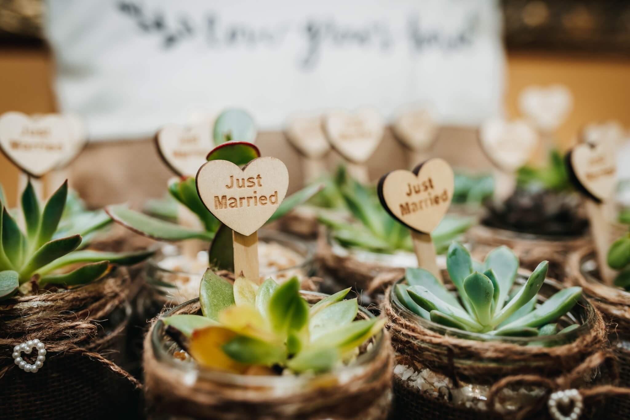 7 Best Alternatives for Favors